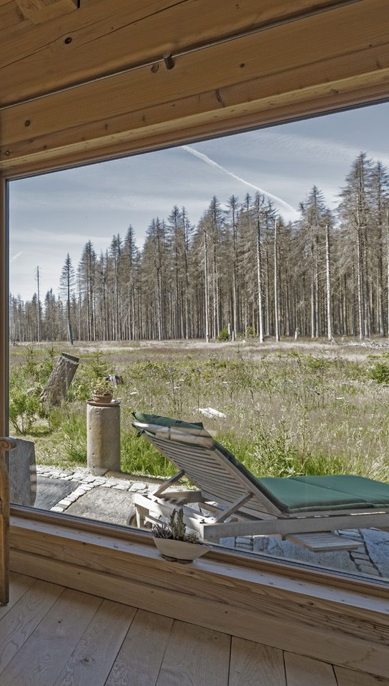 Innenraum Naturstammhaus im Harz