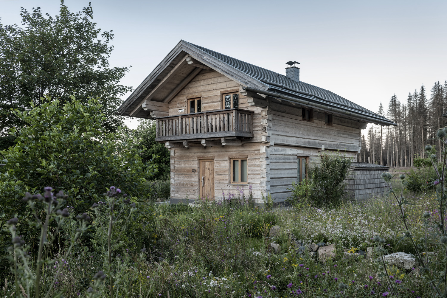 Ansicht Naturstammhaus im Harz mit Garten